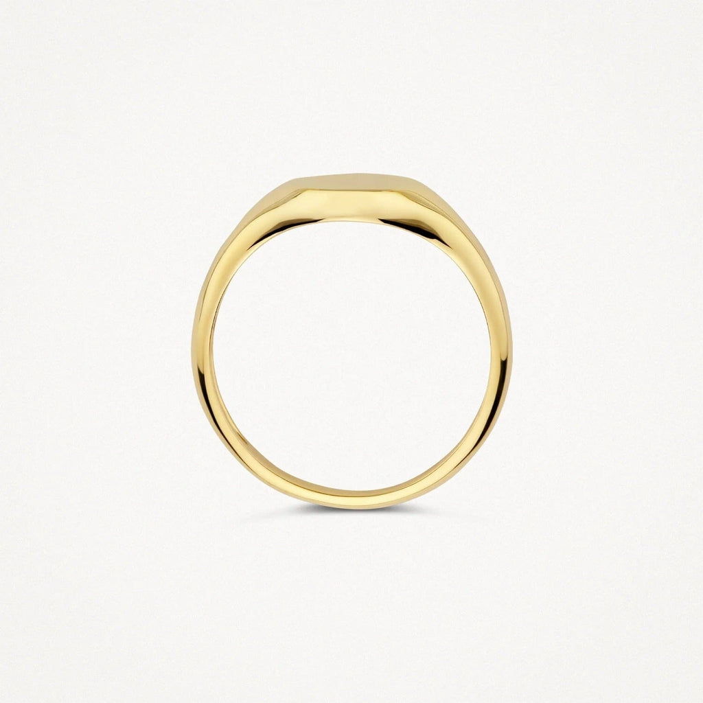 Polished Signet Ring